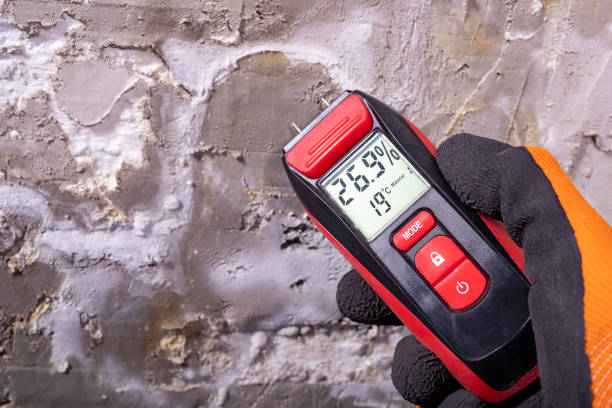 Best Emergency Mold Remediation in Severn, MD